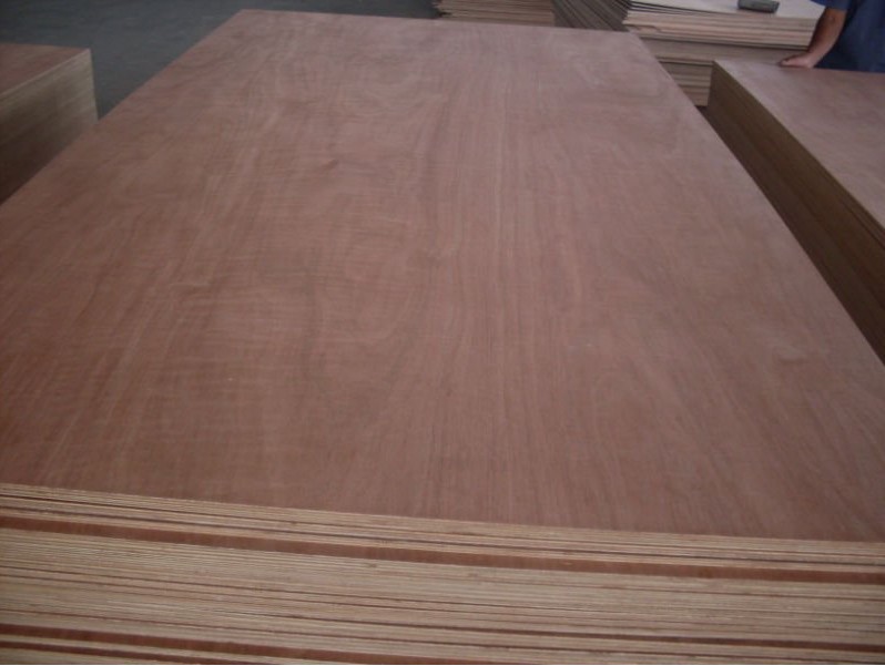 Commercial Plywood Factory