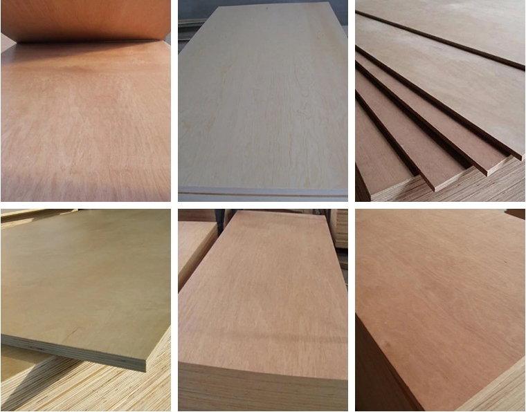 4*8ft Furniture Grade Hardwood Core Poplar Core Plywood Free Emission